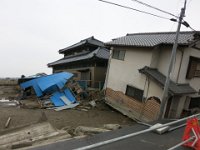 IMG (75)